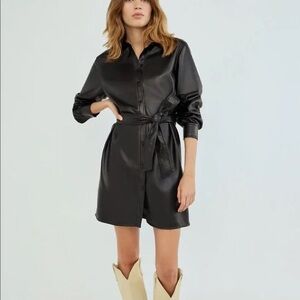 Aritzia Caroline Dress - Dark Brown